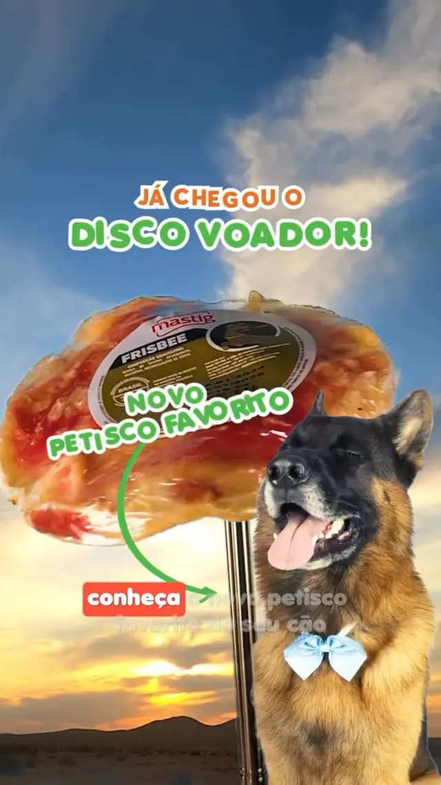 Petisco Mastig Frisbee Para Cães Natural
