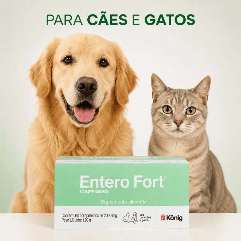 Suplemento Alimentar Entero Fort com 60 Comprimidos 2000 mg König