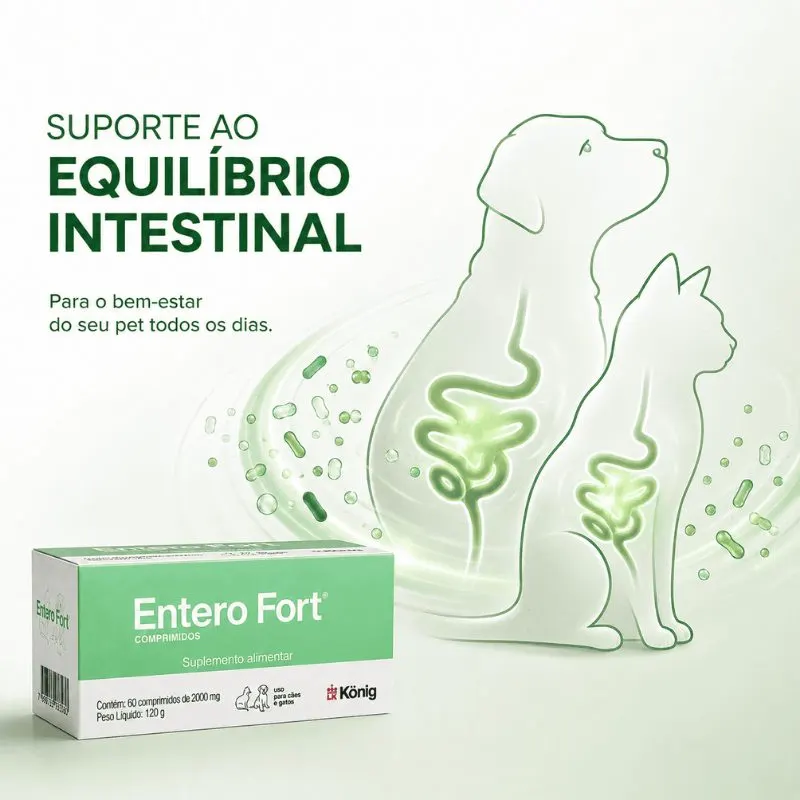 Suplemento Alimentar Entero Fort com 60 Comprimidos 2000 mg König