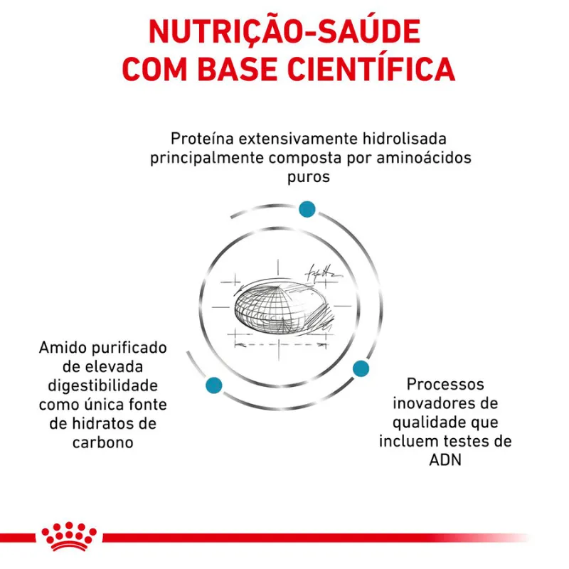 Ração Royal Canin Veterinary Diet Anallergenic Gatos Adultos 2,5 Kg