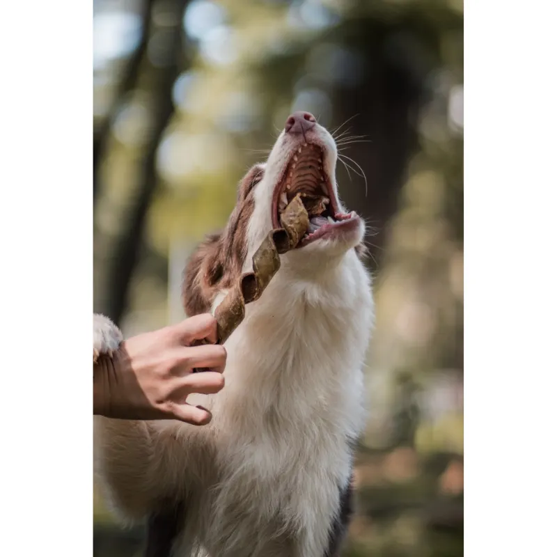 Twist Bovino para Cães Natuka - 1 un