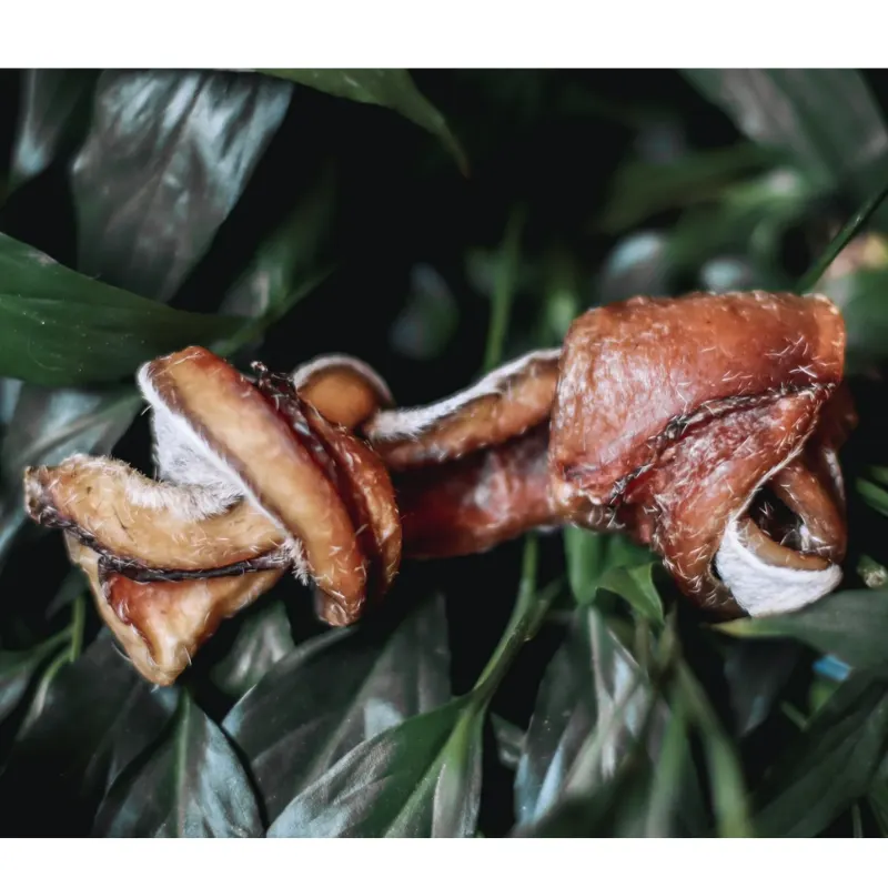 Natuka Knot para Cães