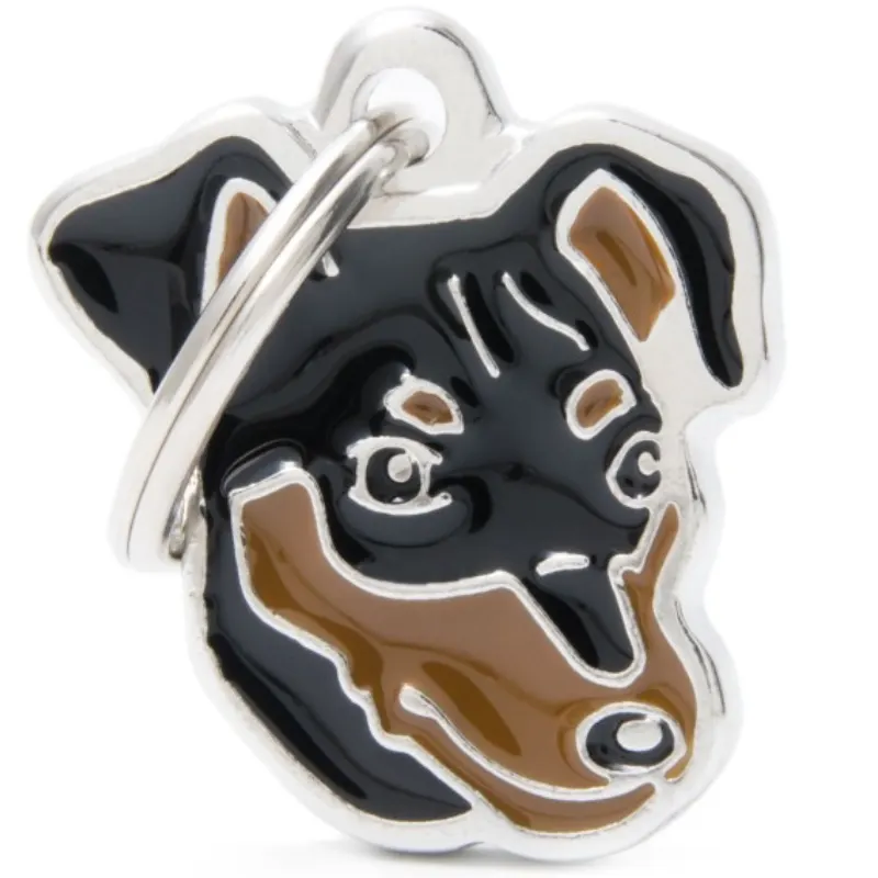 Medalha de Identificação My Family Pinscher Marrom e Preto