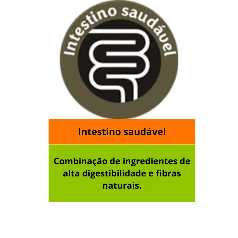 Golden Seleção Natural para Cães Adultos de Porte Pequeno Sabor Frango