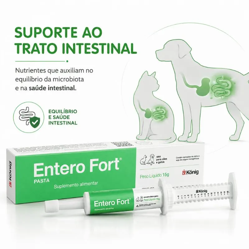 Suplemento Alimentar Entero Fort Pasta 15 g König