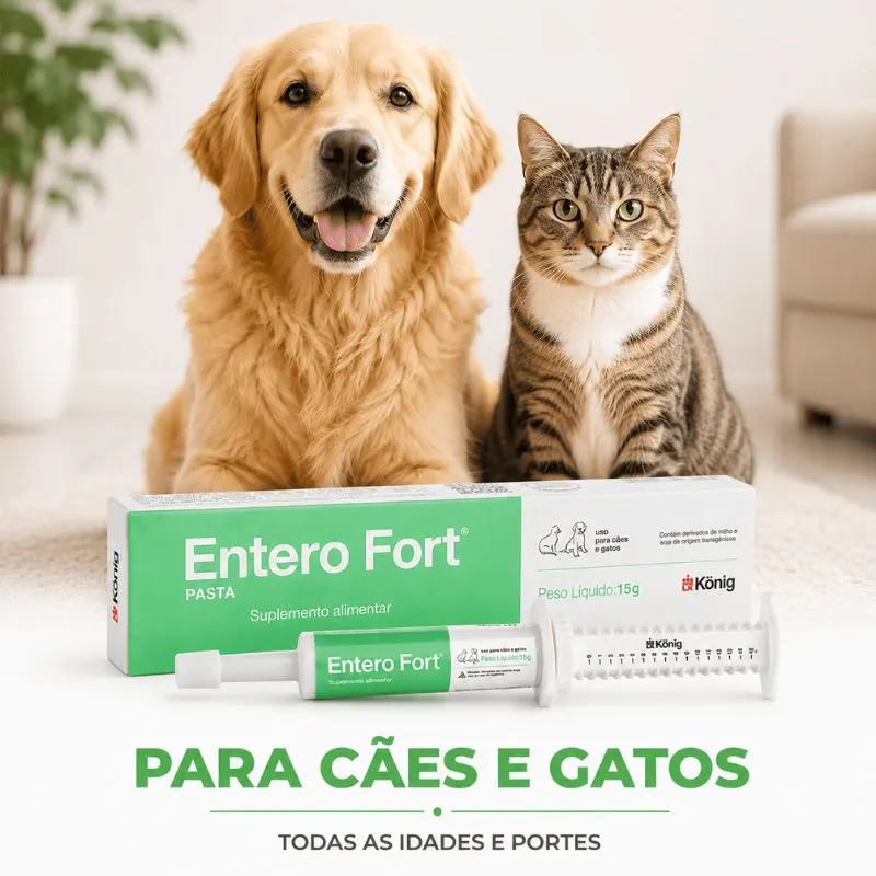 Suplemento Alimentar Entero Fort Pasta 15 g König