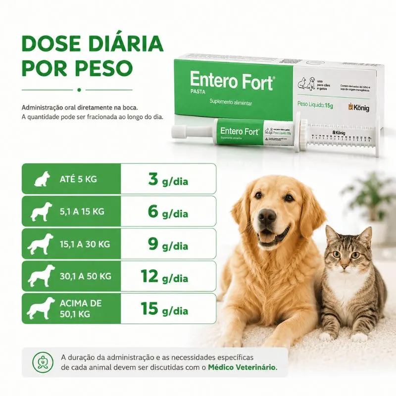 Suplemento Alimentar Entero Fort Pasta 15 g König