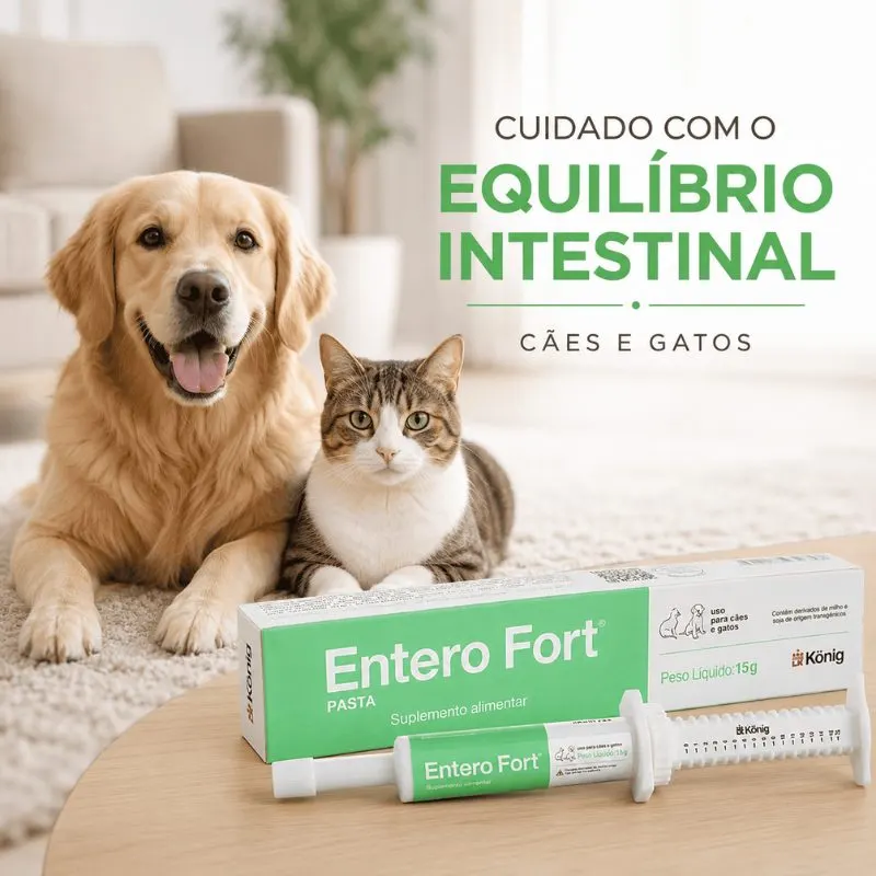 Suplemento Alimentar Entero Fort Pasta 15 g König