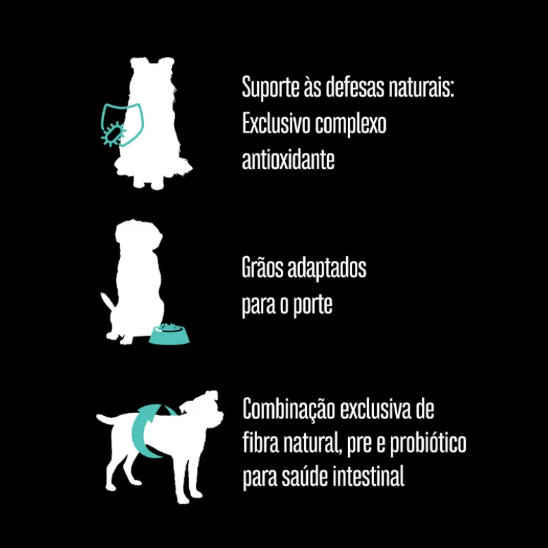 Ração Equilíbrio para Cães Adultos de Pequeno Porte Sabor Frango 2,5 Kg