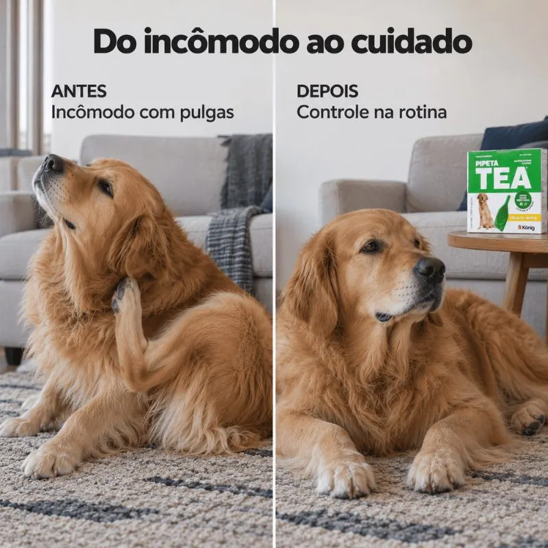 Pipeta Tea para Cães de 25,1 Kg até 40 Kg König
