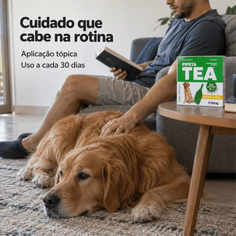 Pipeta Tea para Cães de 25,1 Kg até 40 Kg König