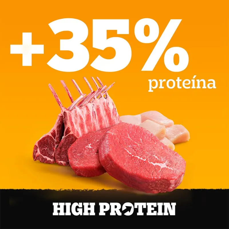 Sache Pedigree Cães Adultos High Protein Porco 85 g