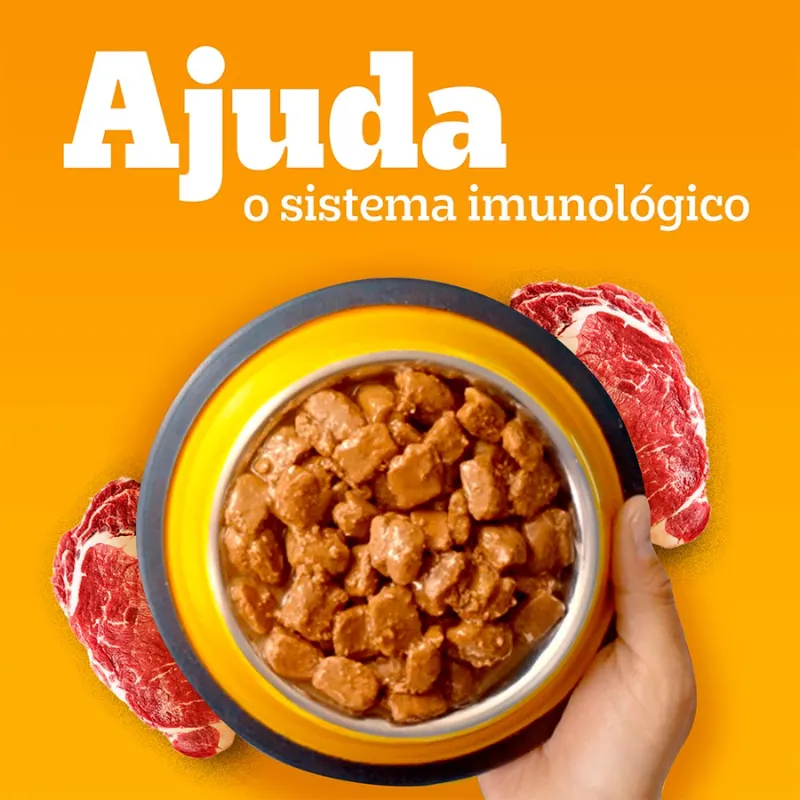 Sache Pedigree Cães Adultos High Protein Porco 85 g