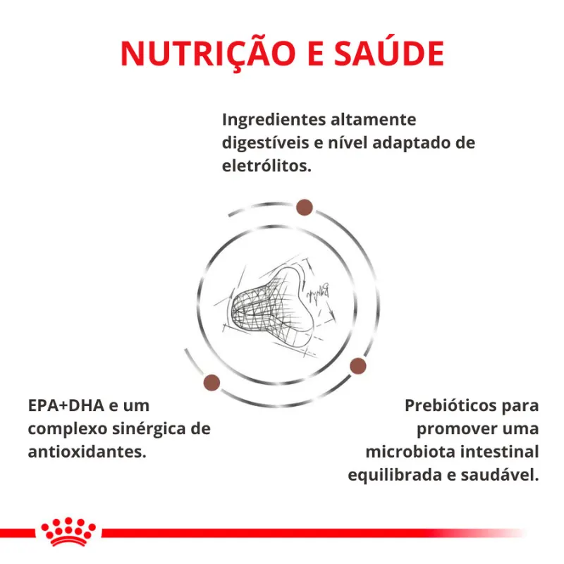 Ração Royal Canin Veterinary Diet Hepatic para Gatos Adultos 1,5 Kg