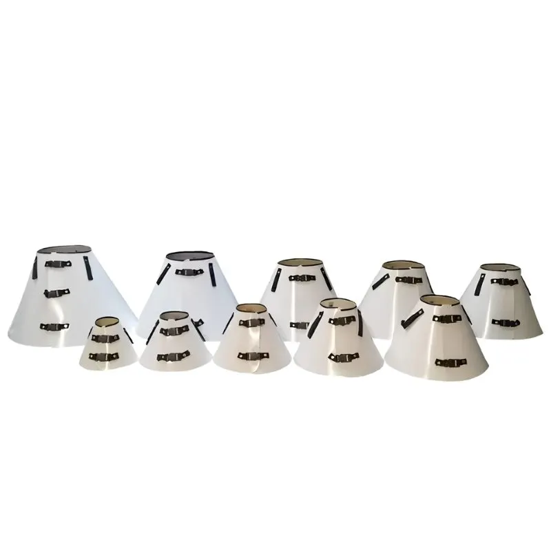 Colar Elizabetano Branco SólidoPara Cães n 5
