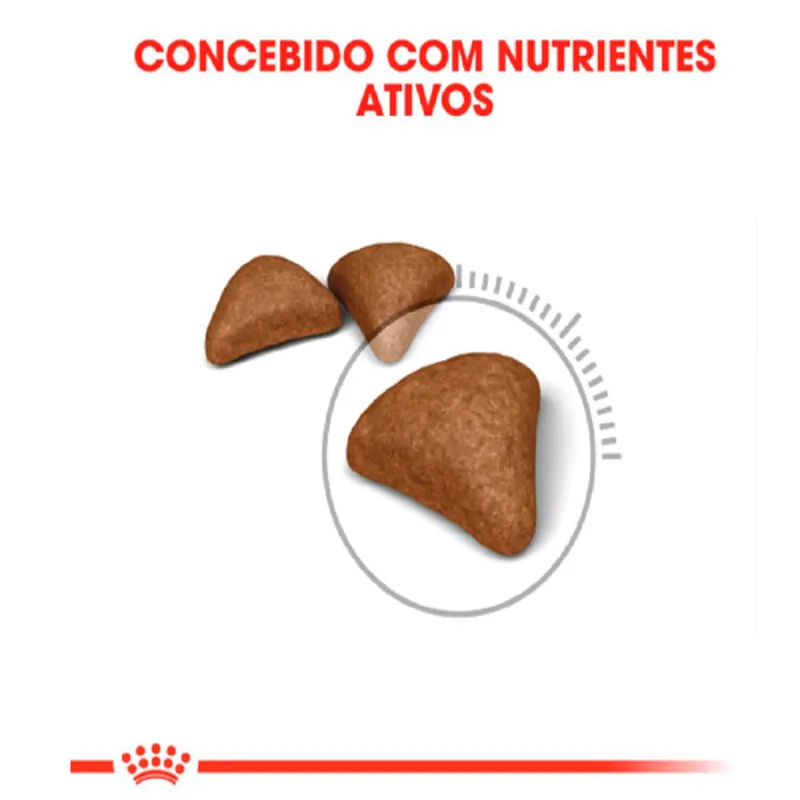 Ração Royal Canin Bolas de Pelo Gatos Adultos 3 Kg