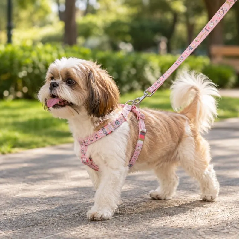 Kit Peitoral com Guia Estampada São Pet N3 Rosa
