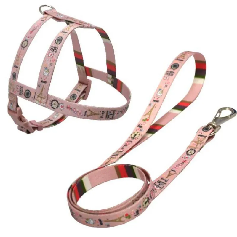 Kit Peitoral com Guia Estampada São Pet N3 Rosa
