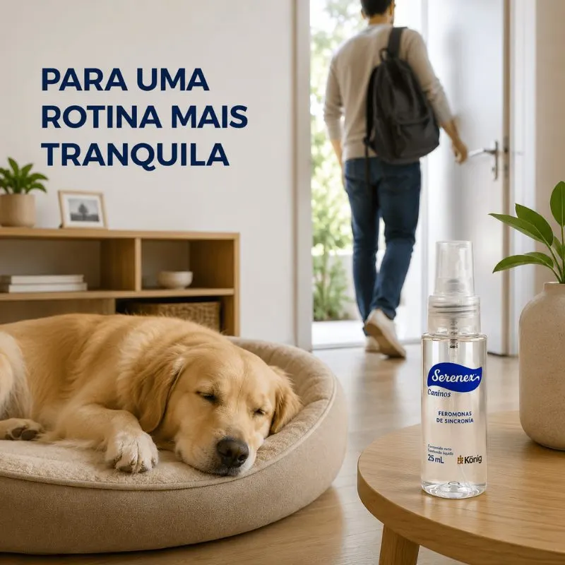 Serenex Spray Canino 25 ml König