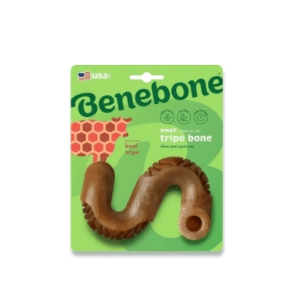 Brinquedo Mordedor Benebone Bone Para Cães - Grande