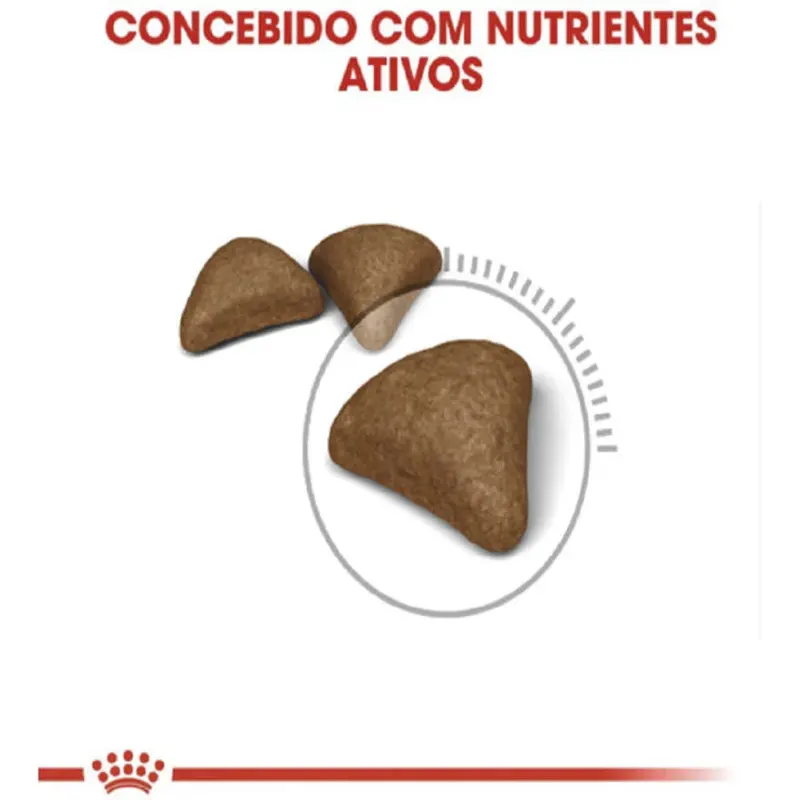 Ração Royal Canin Bolas de Pelo para Gatos Adultos 400 g
