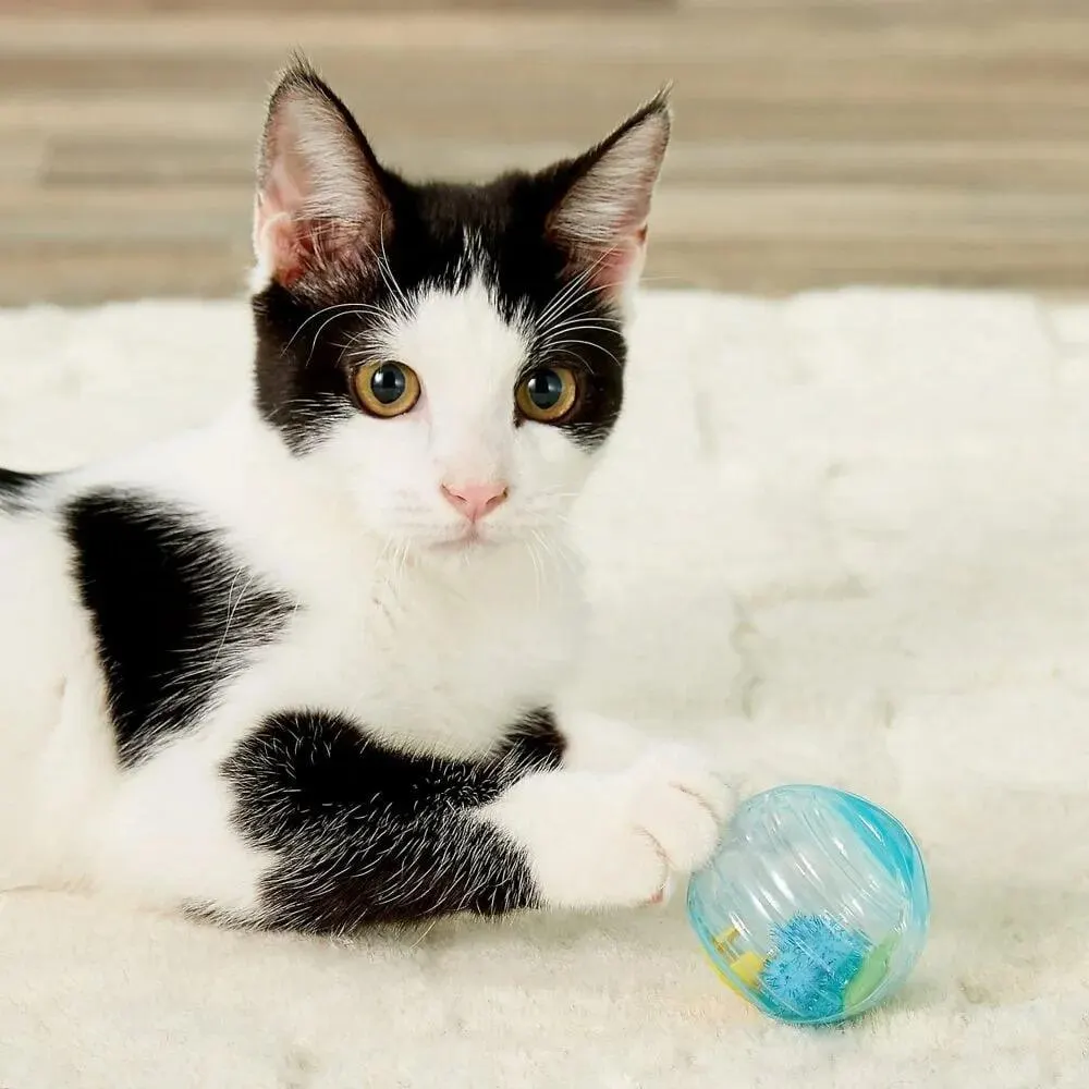 Brinquedo JW Fish Ball com Chocalho para Gatos