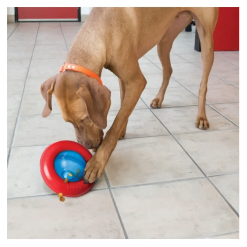 Brinquedo Kong para Cães Gyro Azul e Vermelho- Pequeno
