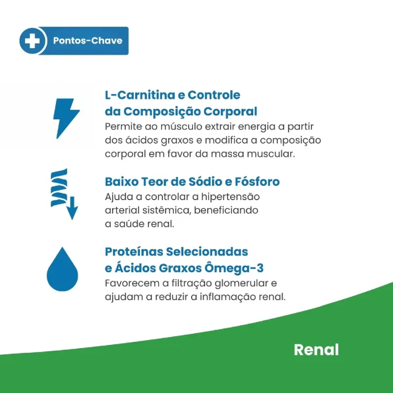Ração Vet Life Gatos Renal 400 g