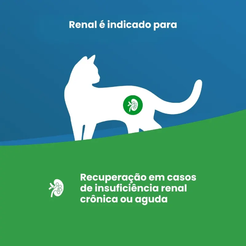 Ração Vet Life Gatos Renal 400 g