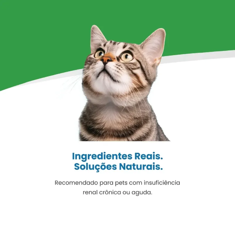 Ração Vet Life Gatos Renal 400 g