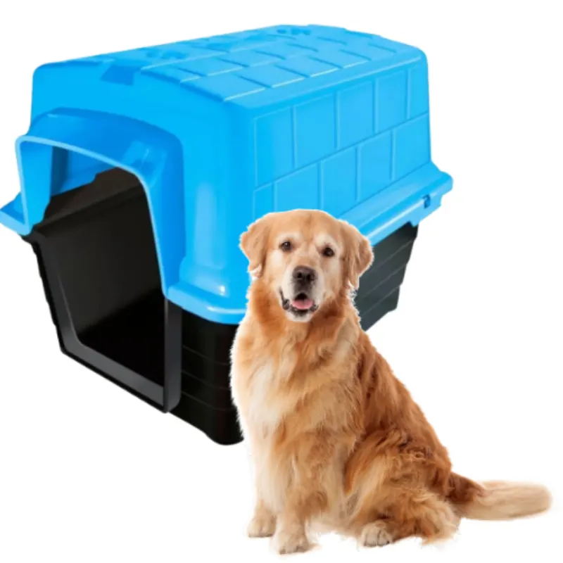 Casa Furacão Azul para Cães