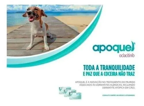 Apoquel Zoetis 16mg Anti Coceira Cães Com 20 Comprimidos