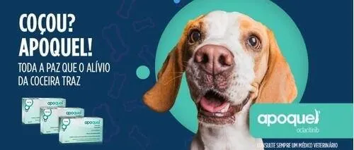 Apoquel Zoetis 16mg Anti Coceira Cães Com 20 Comprimidos