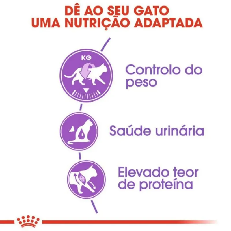 Ração Royal Canin para Gatos Adultos Castrados 4 Kg
