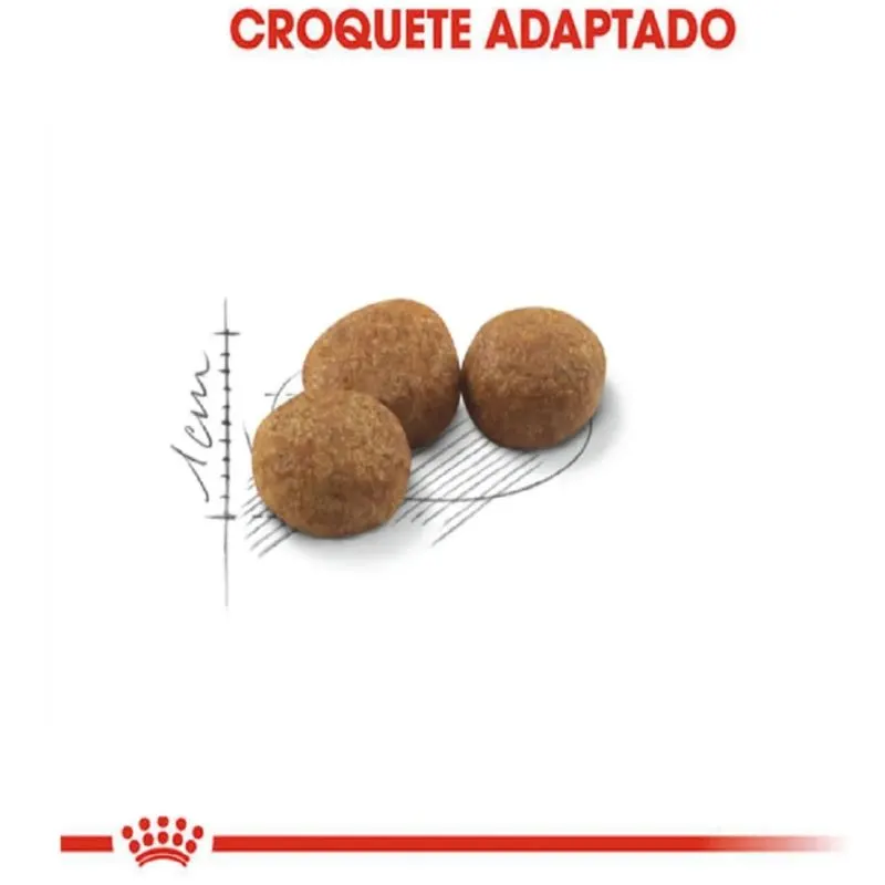 Ração Royal Canin para Gatos Adultos Castrados 4 Kg