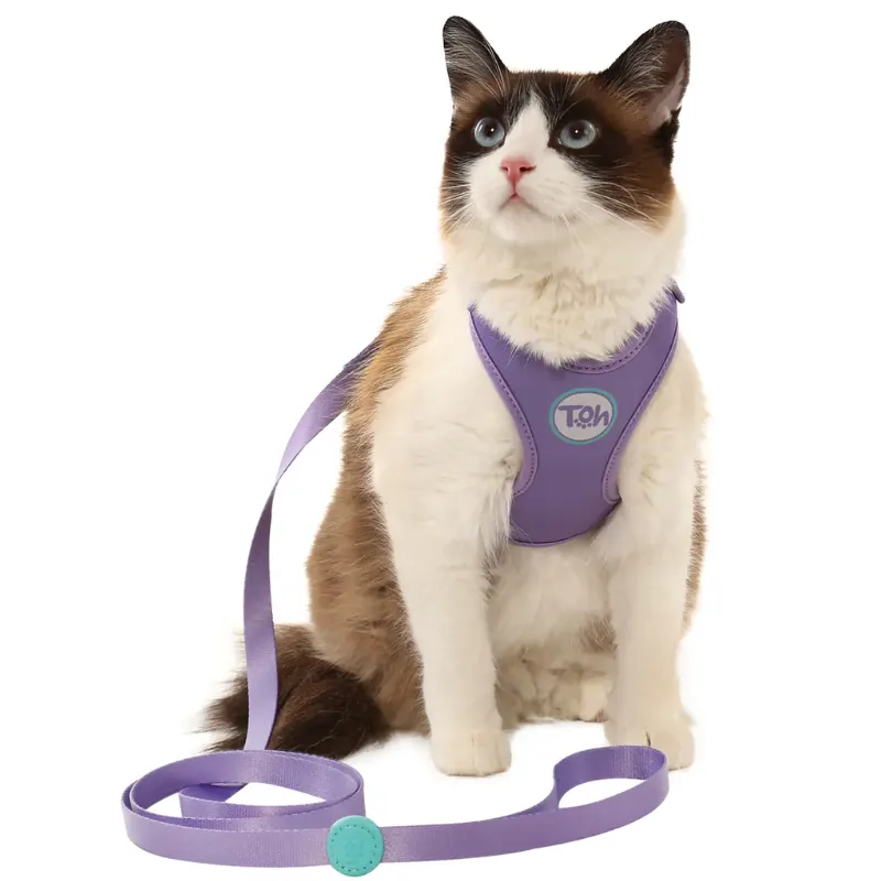 Conjunto Peitoral e Guia Toh Neo Gato Lilás