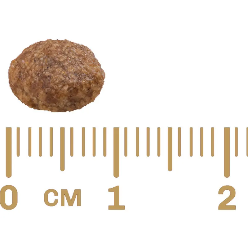 Ração GranPlus Menu Cães Adultos Mini Frango e Arroz