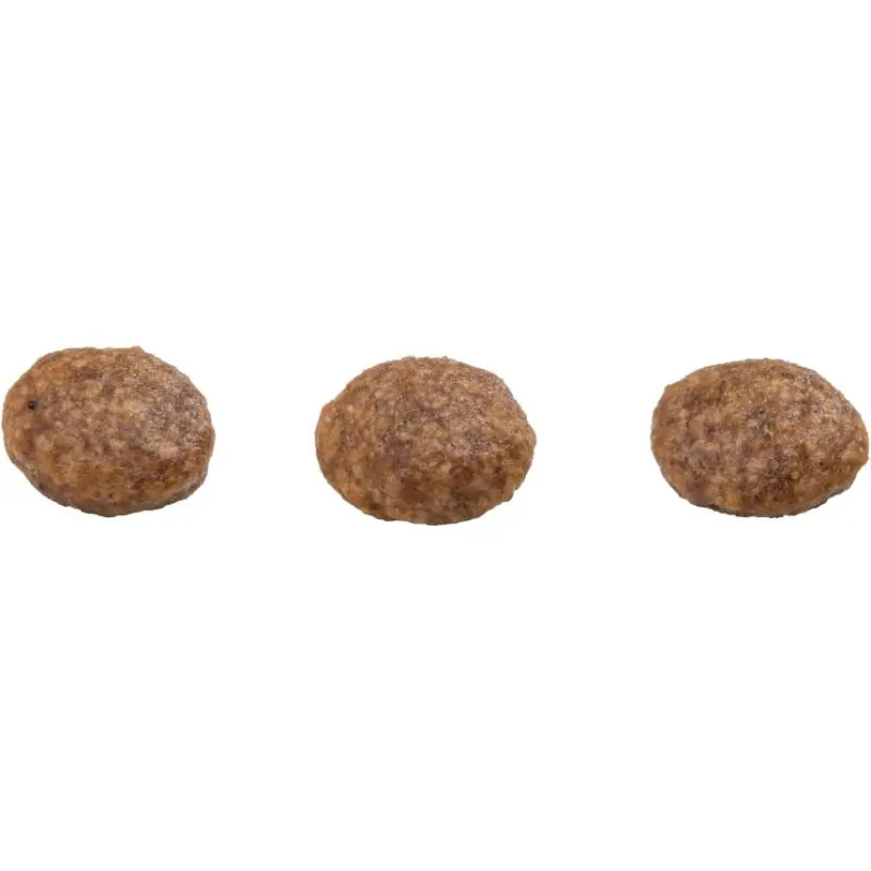Ração GranPlus Menu Cães Adultos Mini Frango e Arroz