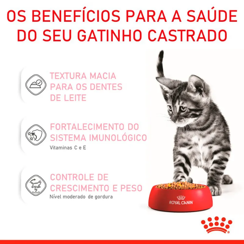 Ração Úmida Royal Canin Sachê Jelly para Gatos Filhotes 85 g