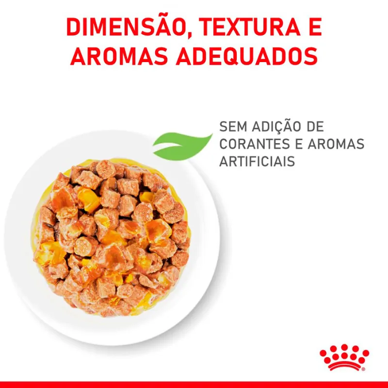 Ração Úmida Royal Canin Sachê Jelly para Gatos Filhotes 85 g