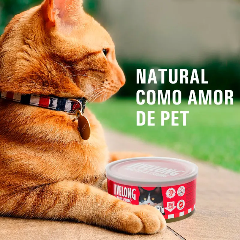 Livelong Gatos Meats (Delicias Carnes) 150 G - Vermelho