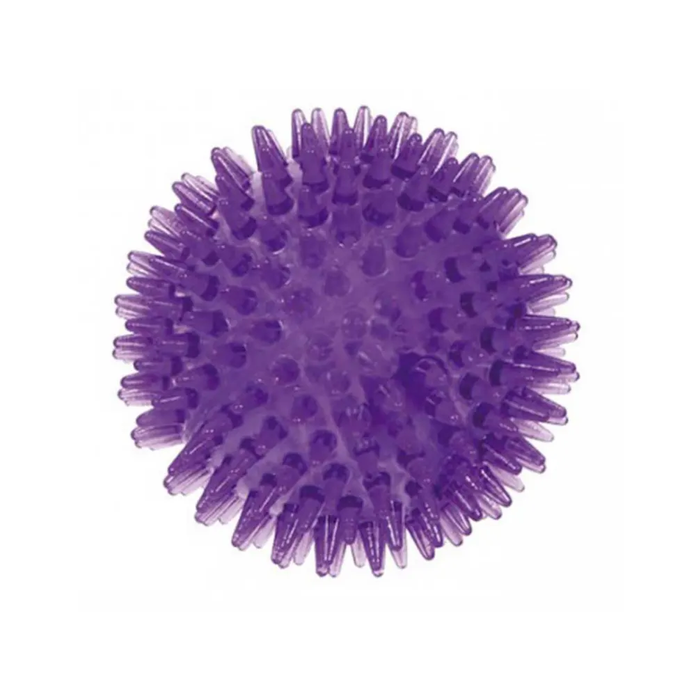 Bolinha de Pontas Grande Lilás Jambo Com Som - Grande