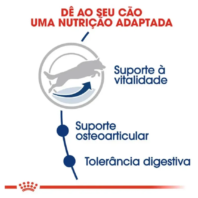 Ração Royal Canin Maxi Adult 5+ para Cães Adultos de Porte Grande 12kg