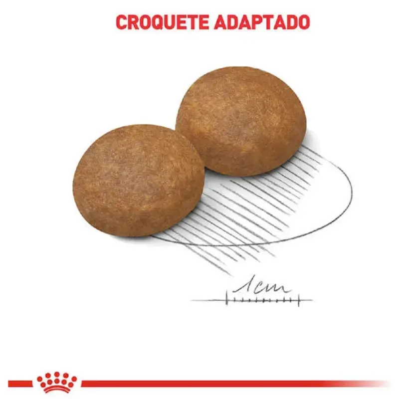 Ração Royal Canin Maxi Adult 5+ para Cães Adultos de Porte Grande 12kg