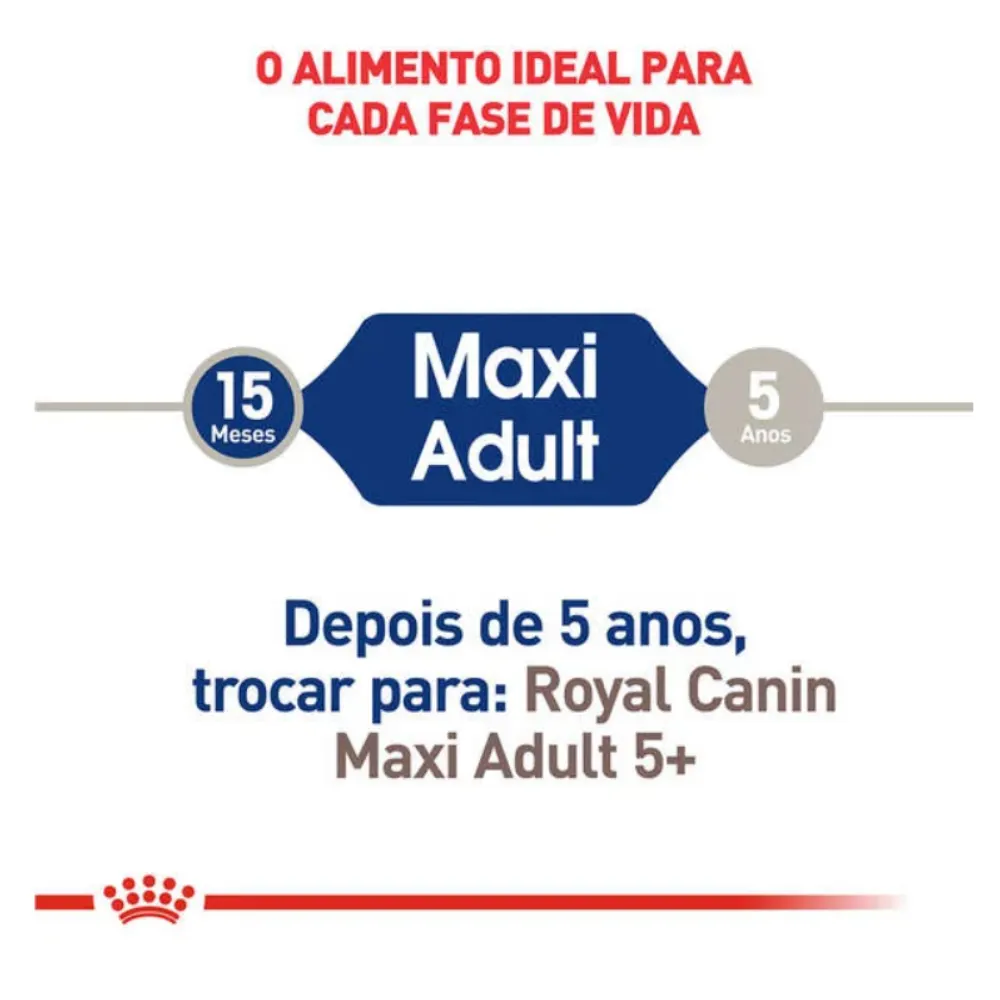 Ração Royal Canin Maxi Cães Adultos de Porte Grande 15kg