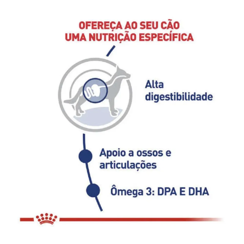 Ração Royal Canin Maxi Cães Adultos de Porte Grande 15kg