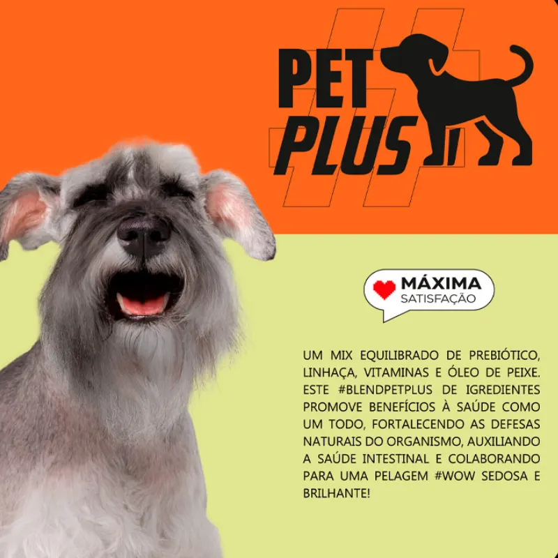 Ração Max para Cães Sênior Raças Pequenas Sabor Frango e Arroz