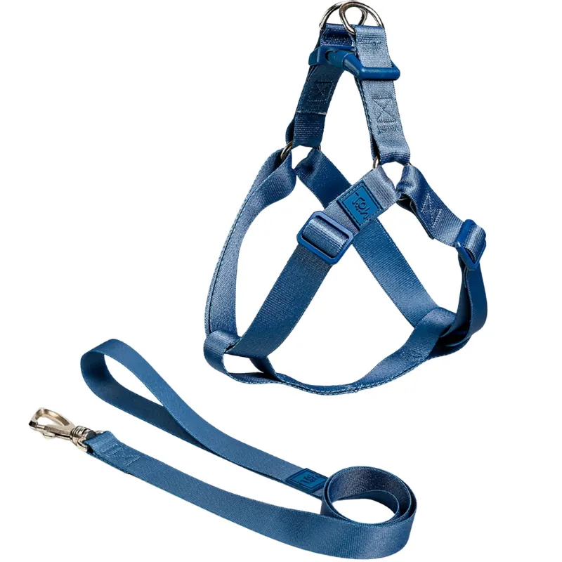 Conjunto Peitoral Toh Step In e Guia P Marine