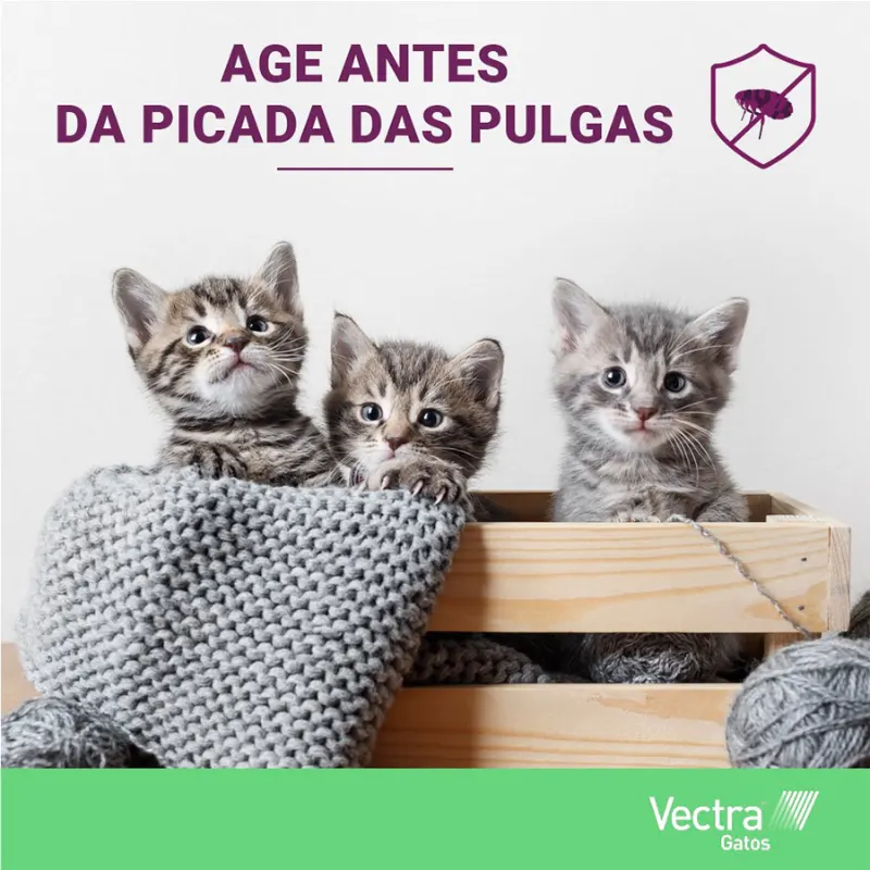 Anti Pulgas Ceva Vectra para Gatos1 Ml 3 Pipetas