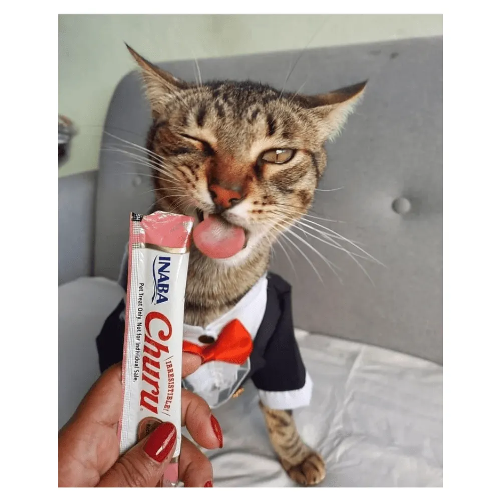 Petisco Patê Churu Gatos Frango com Sabor de Caranguejo - Tubo avulso 14g